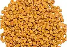 Fenugreek (Methi)